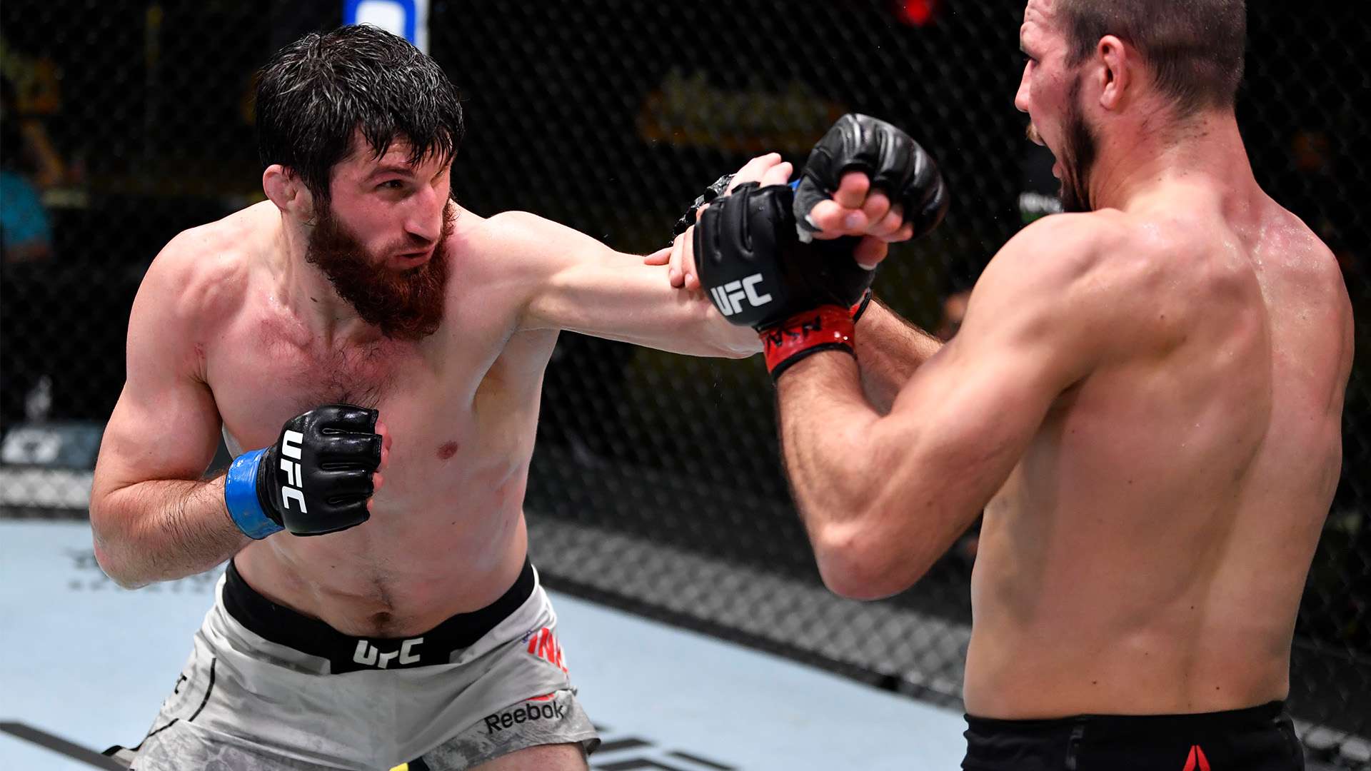 这种互动形 这种互动形