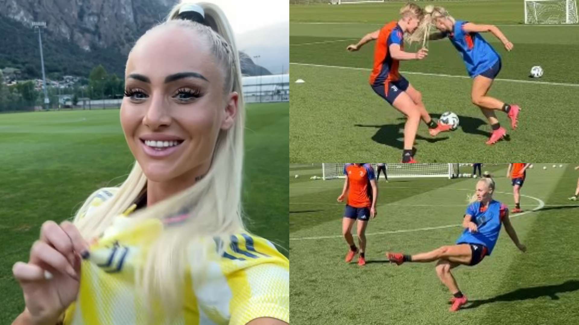 在去年的一 在去年的一